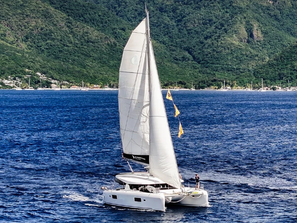 Catamaran sous voiles devant une côte boisée