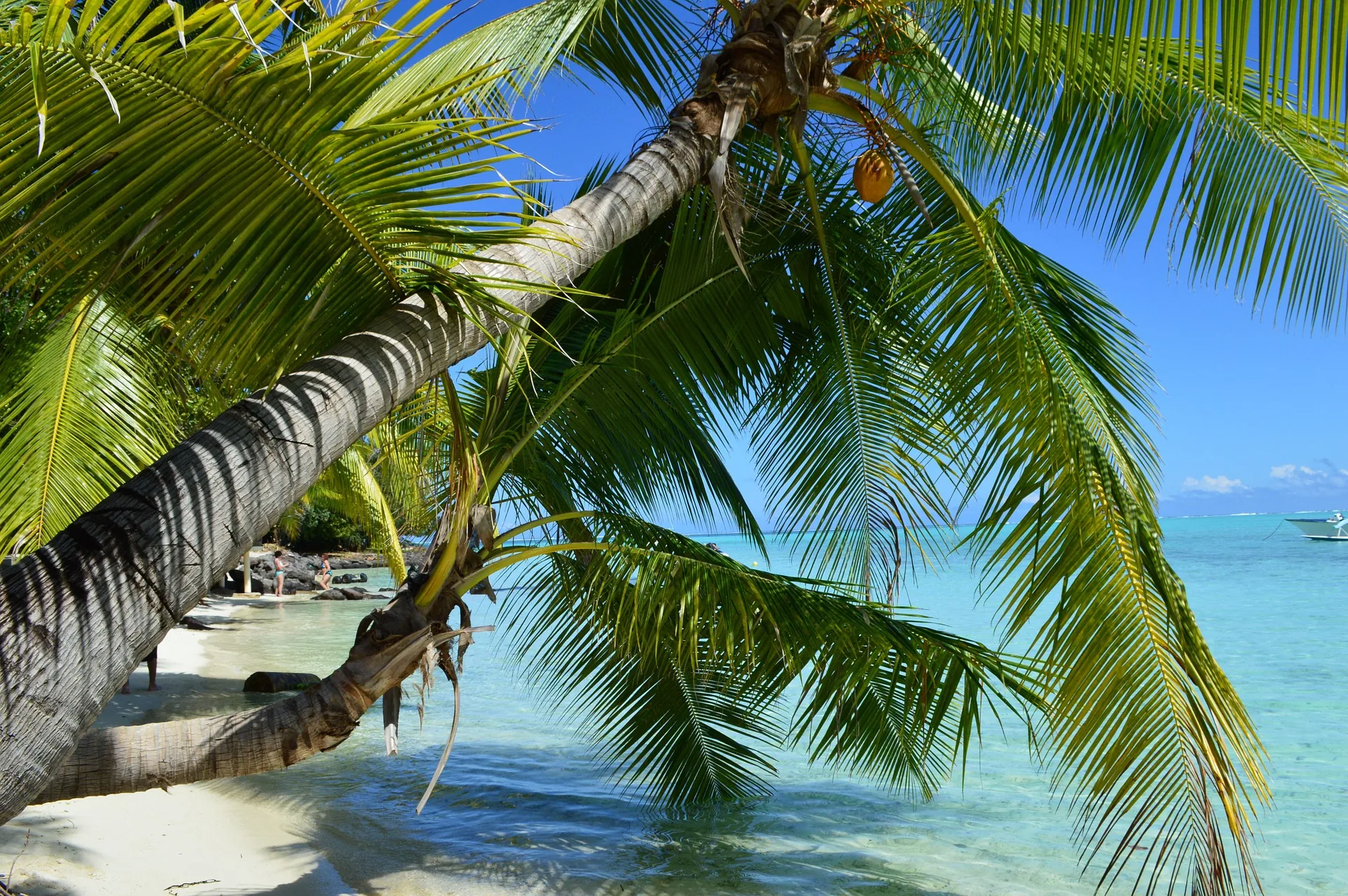 bora-bora-1018423-1920.jpg