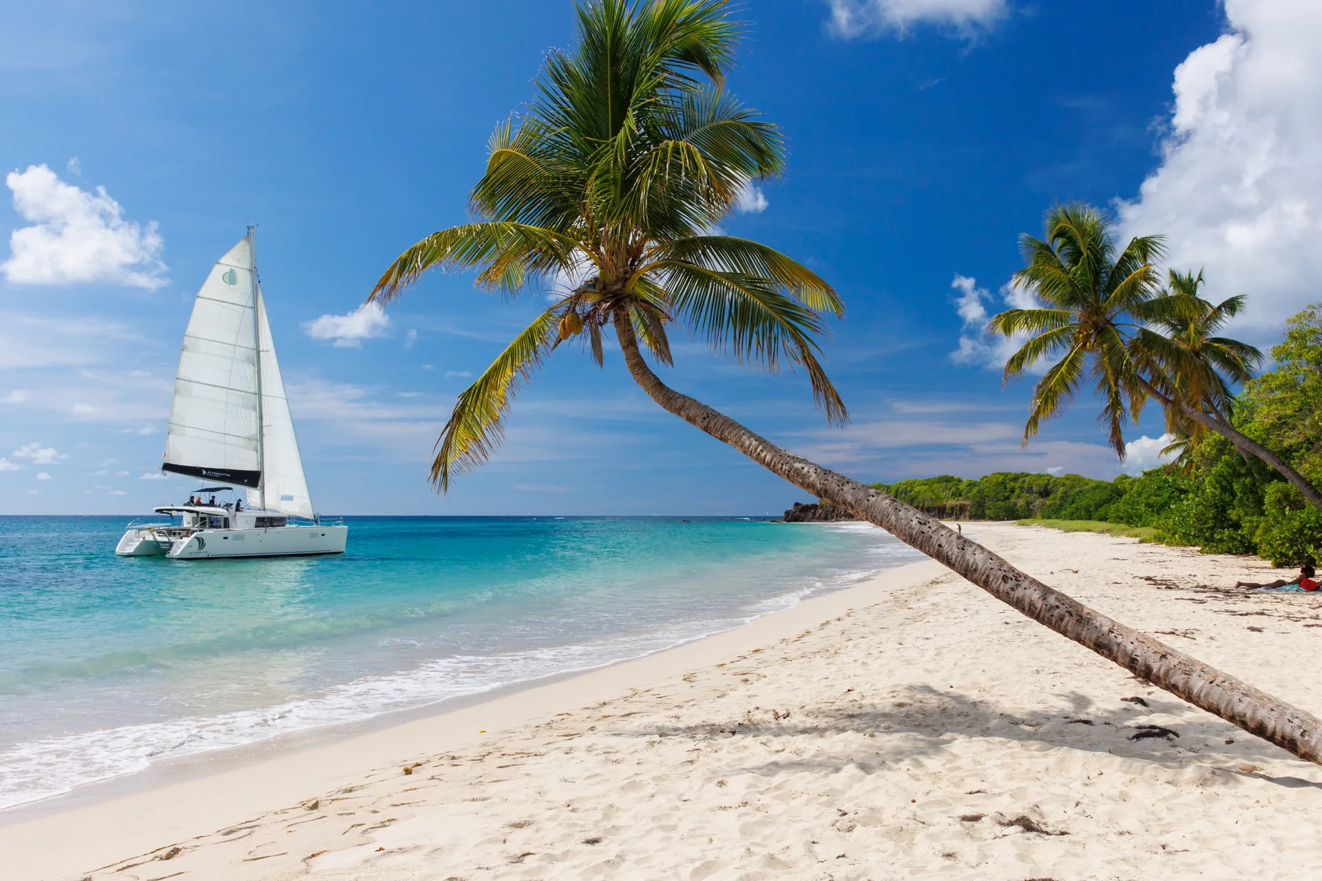 Photo Lagoon 450 